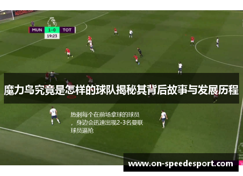 魔力鸟究竟是怎样的球队揭秘其背后故事与发展历程